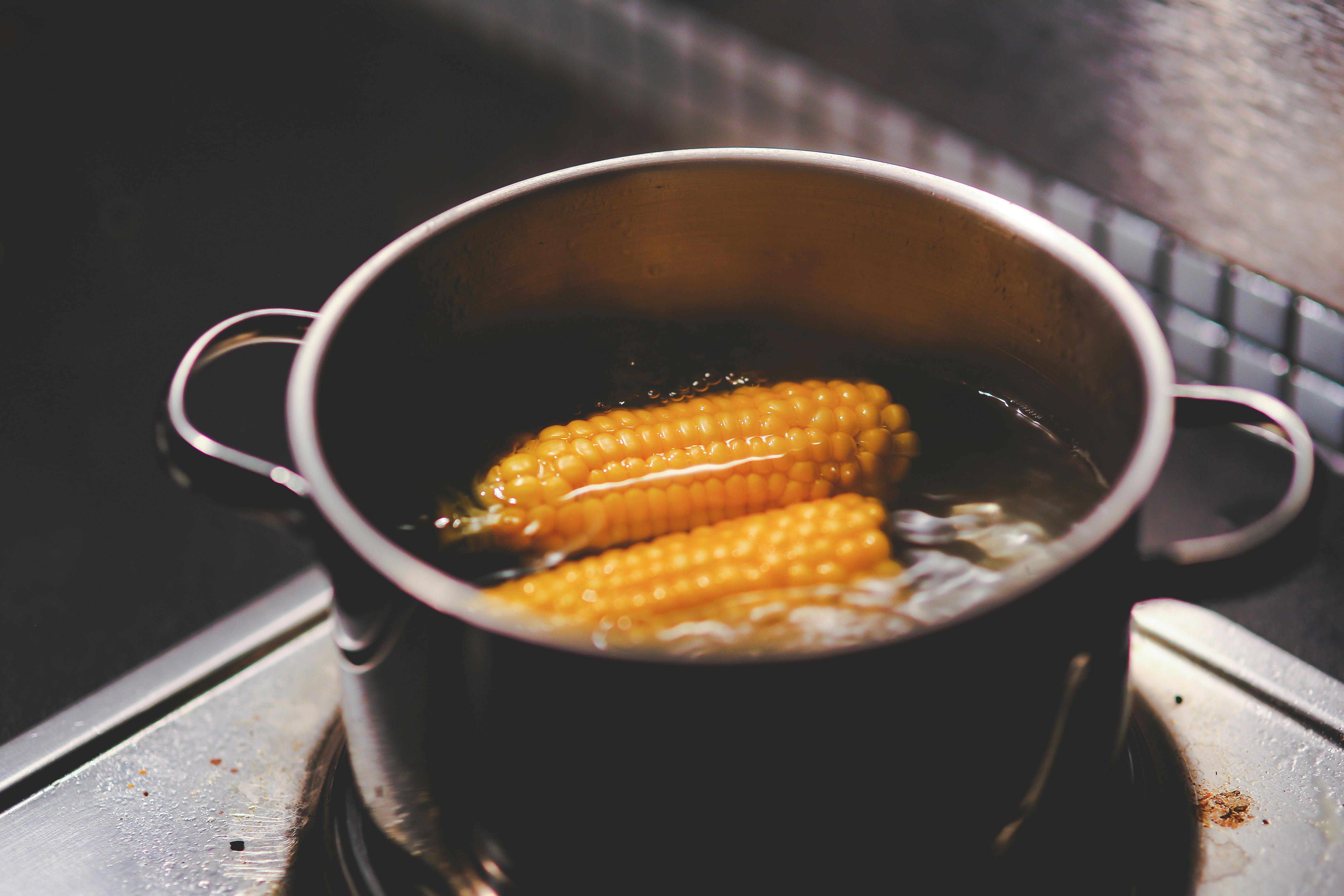 Cooking corn \u00b7 Free Stock Photo