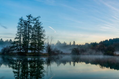 Trees Beside Lake in Fog Under Blue Sky