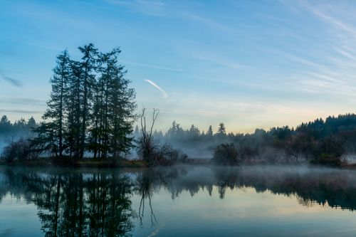Free Misty morning over a tranquil lake surrounded by coniferous trees in Olympia, Washington. Stock Photo