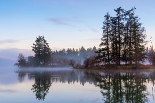 Free Misty morning reflection of coniferous trees on a calm lake in Olympia, capturing tranquil dawn beauty. Stock Photo