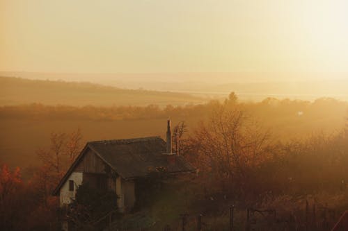 Fog Covering the Farm Land