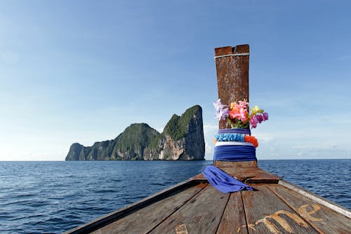 ada, Çiçek açmak, dingin içeren Ücretsiz stok fotoğraf