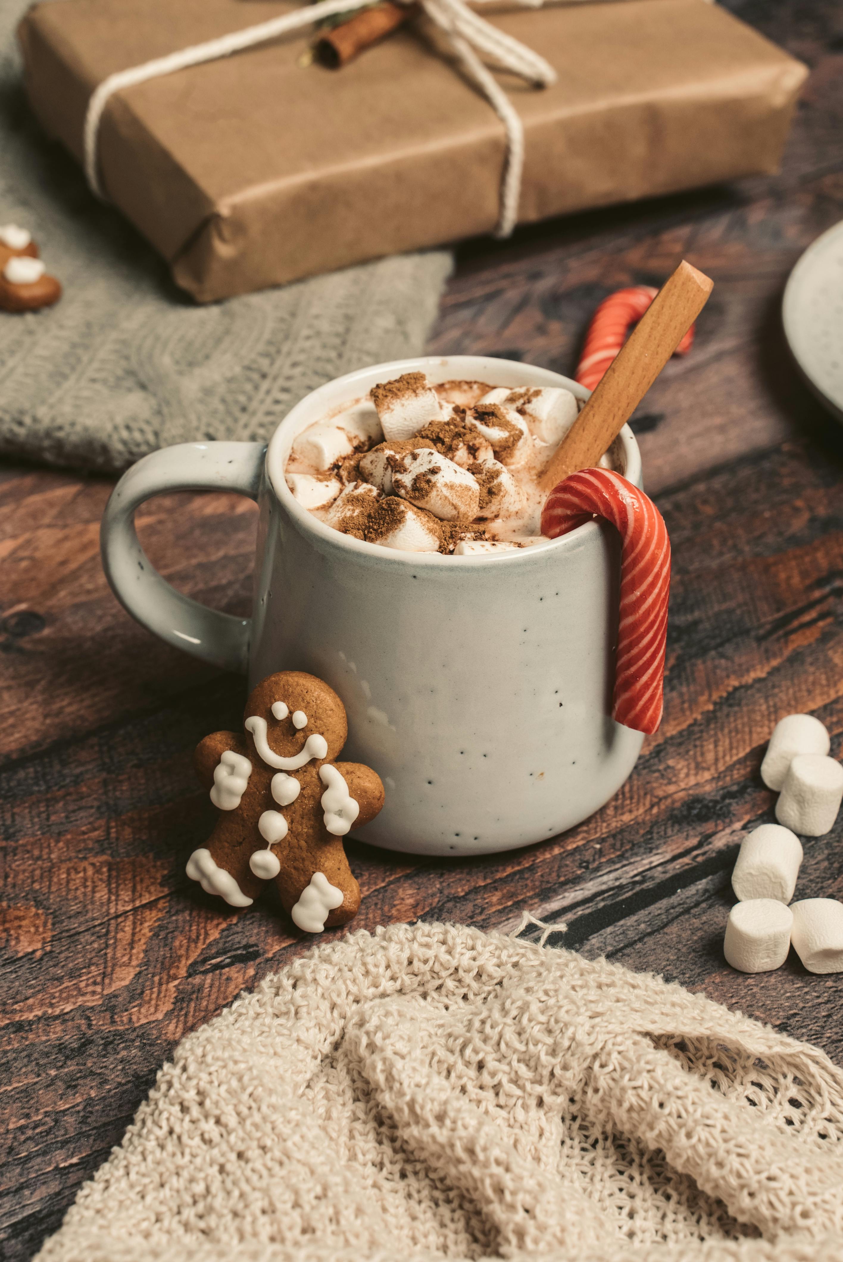 A Hot Chocolate in the Mug  Free Stock Photo