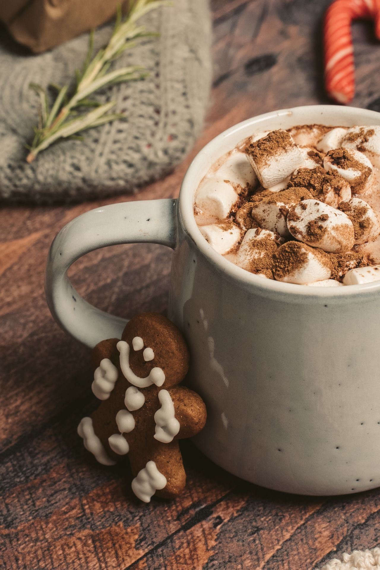 Hot chocolate with marshmallows and a gingerbread cookie on a rustic table