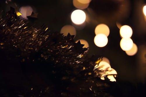 Free stock photo of bokeh, christmas, christmas atmosphere