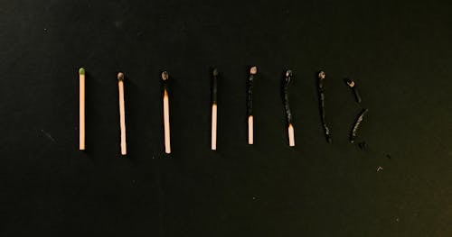 A Burnt Match Sticks