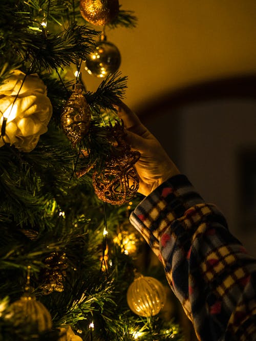 Close Up Photo of a Person Hanging Christmas Decoration