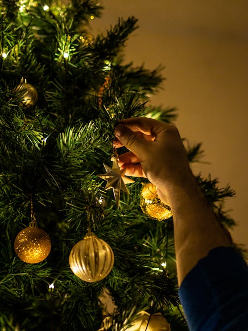 Close Up Photo of a Person Hanging Christmas Decorations