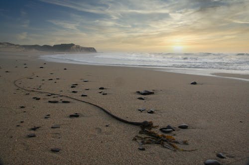 Foto profissional grátis de areia, beira-mar, cair da noite