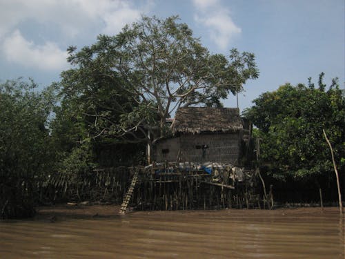 Free stock photo of mekong riverside home