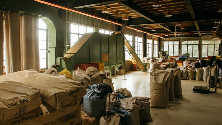 Bags Of Tea In A Production Plant