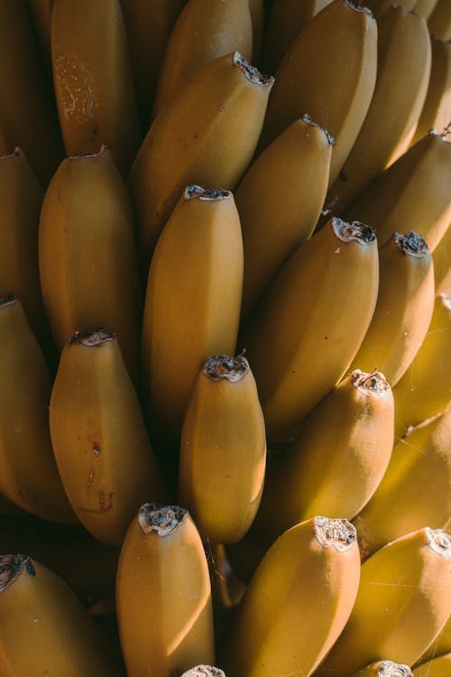 Free stock photo of banana, fruit, yellow Stock Photo