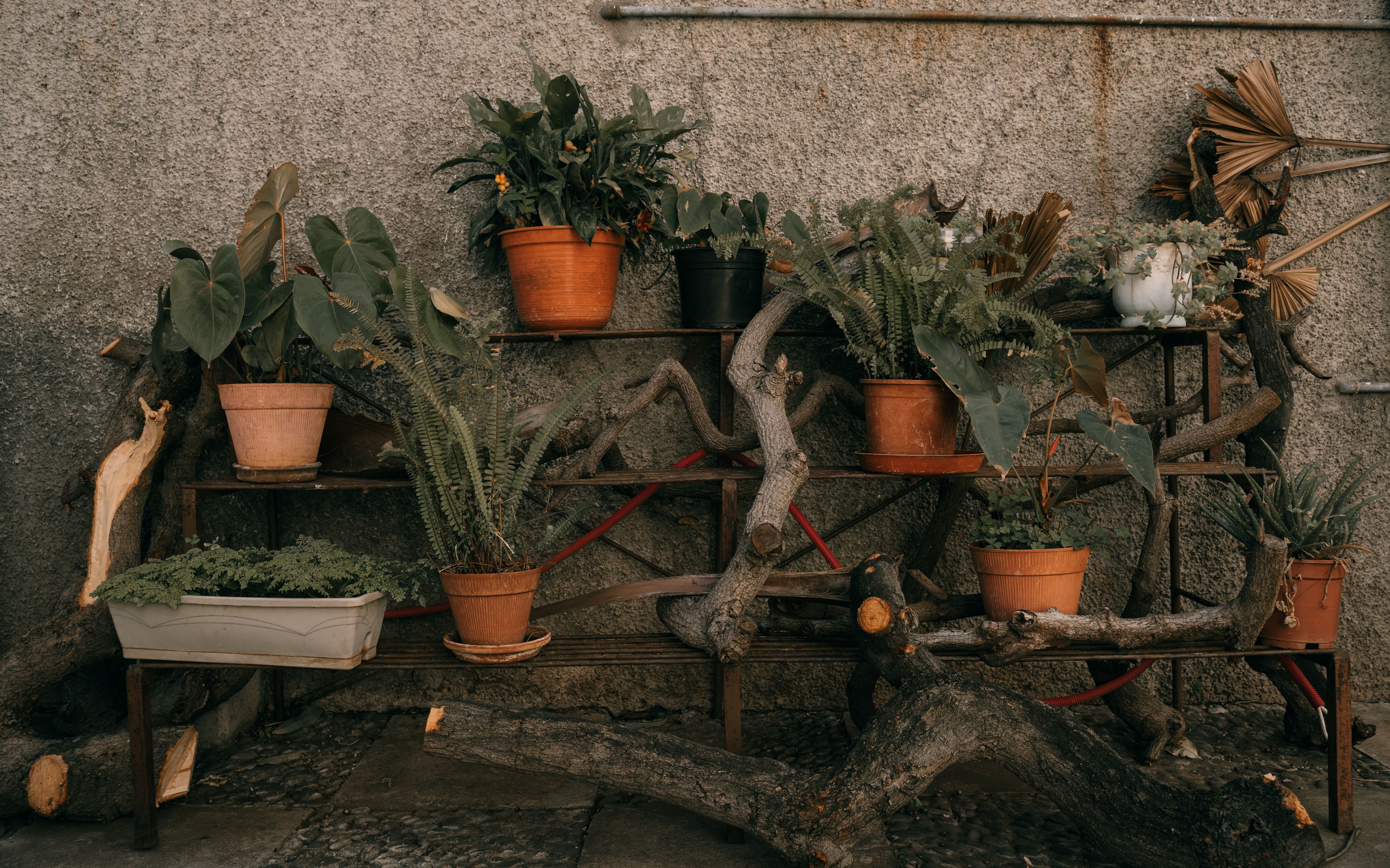 Le recyclage créatif de vos contenants : l'art méconnu de transformer vos vieux objets en pots uniqu