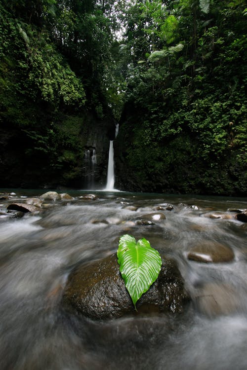 Free stock photo of waterfall