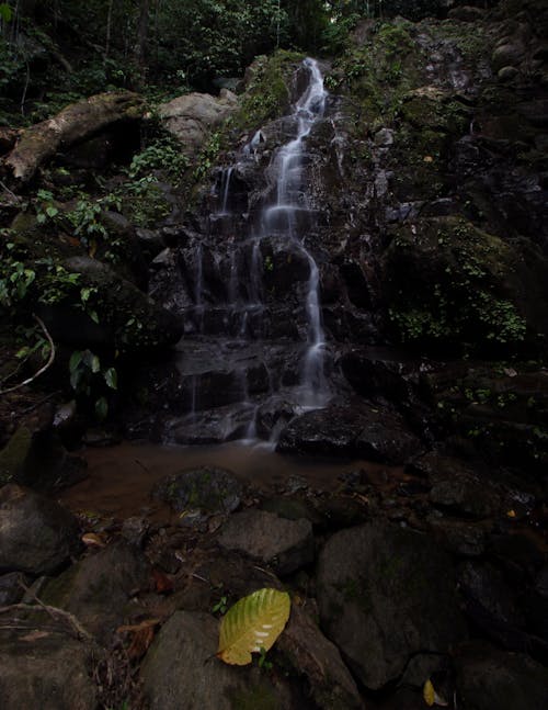 Free stock photo of waterfall