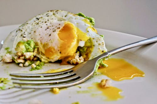 Kostnadsfria Kostnadsfri bild av ägg, avokado, förgrening Stock foto