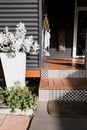 White Plants on White Plant  Box