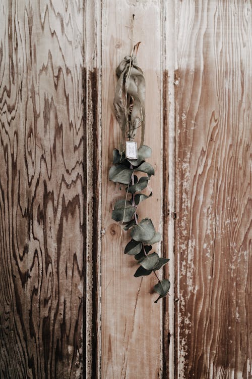 Green Leaves Hanging on Brown Wooden Surface