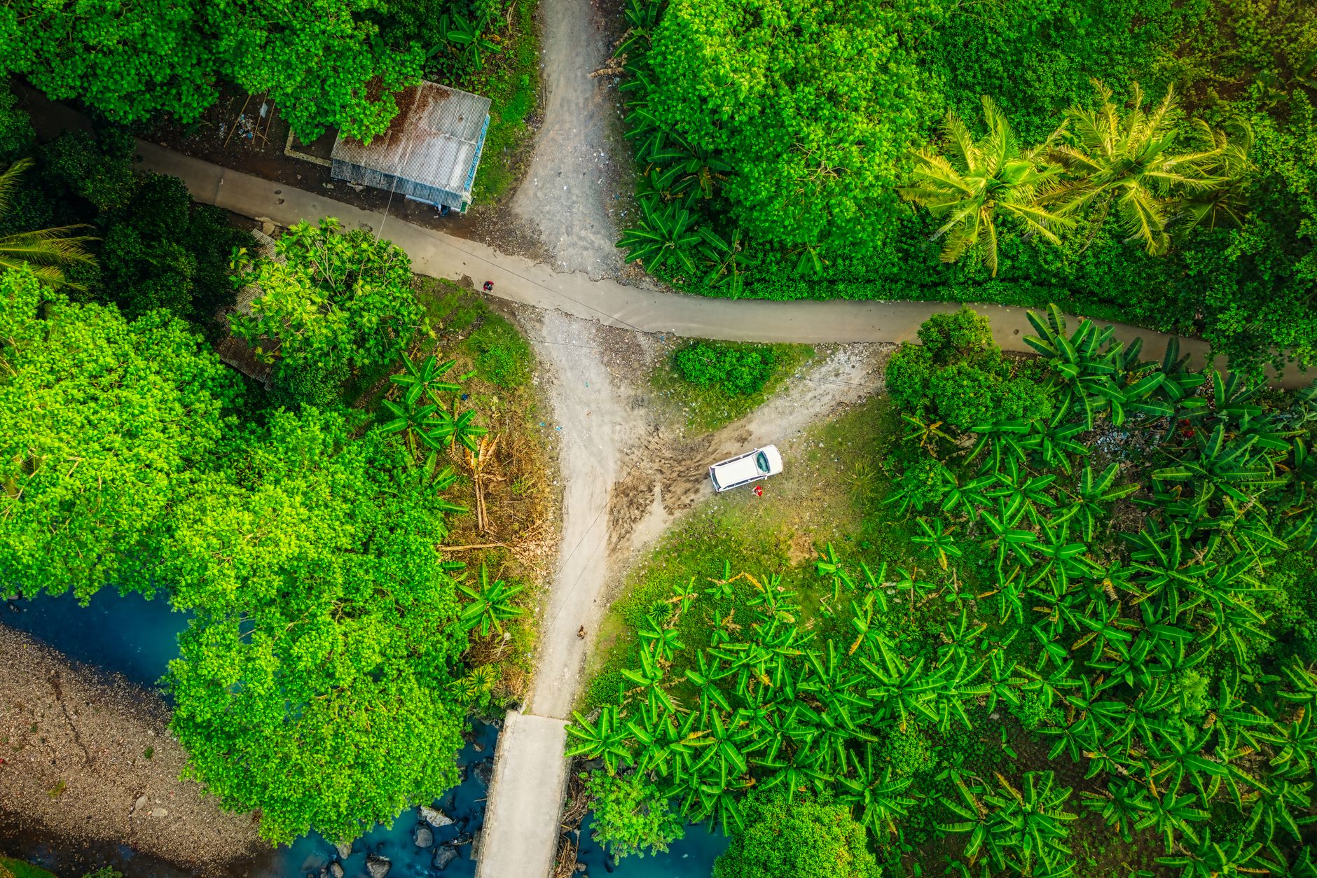Drone view of off road car parked near narrow path surrounded by palm trees in lush forest in tropical countryside