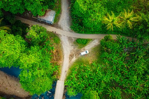 Drone view of off road car parked near narrow path surrounded by palm trees in lush forest in tropical countryside