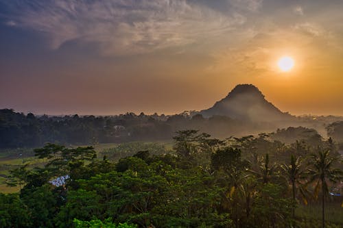 Mountainous terrain with lush tropical trees under sundown sky