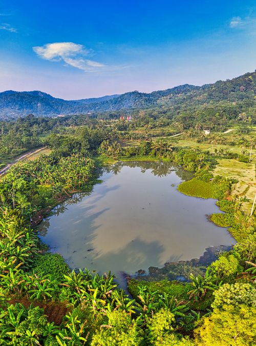 Free Picturesque aerial view of small pond surrounded by lush green palms growing in mountainous valley against blue sky in sunlight Stock Photo