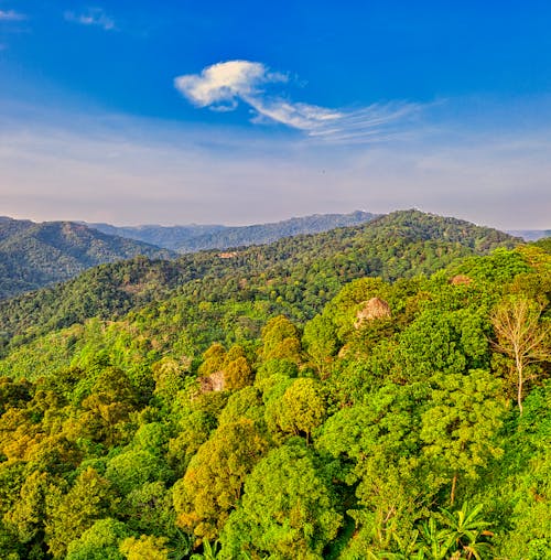 Majestic landscape of mountain range covered with lush picturesque tropical trees against cloudy blue sky on sunny day