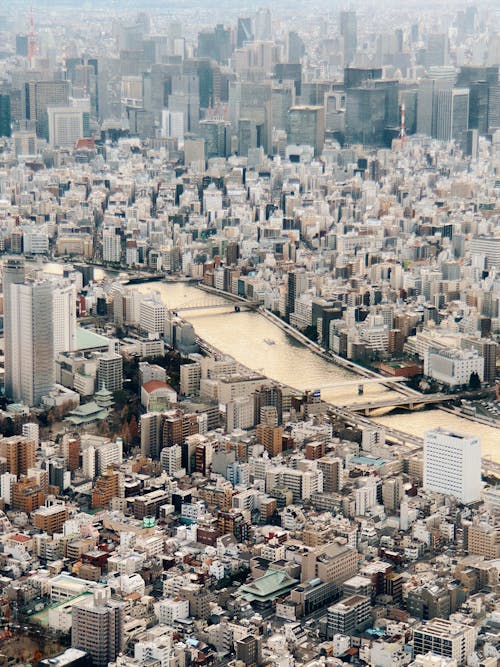 Cityscape of modern coastal city with skyscrapers