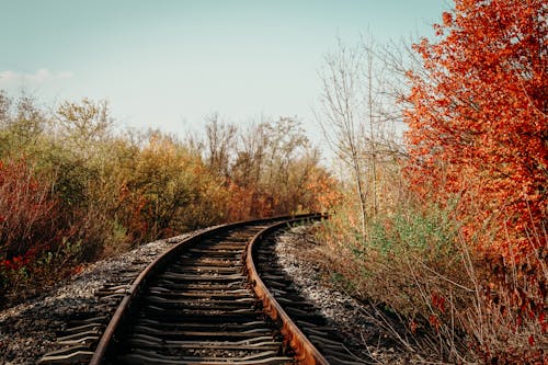 Railroad Tracks in an Autumn Scenery