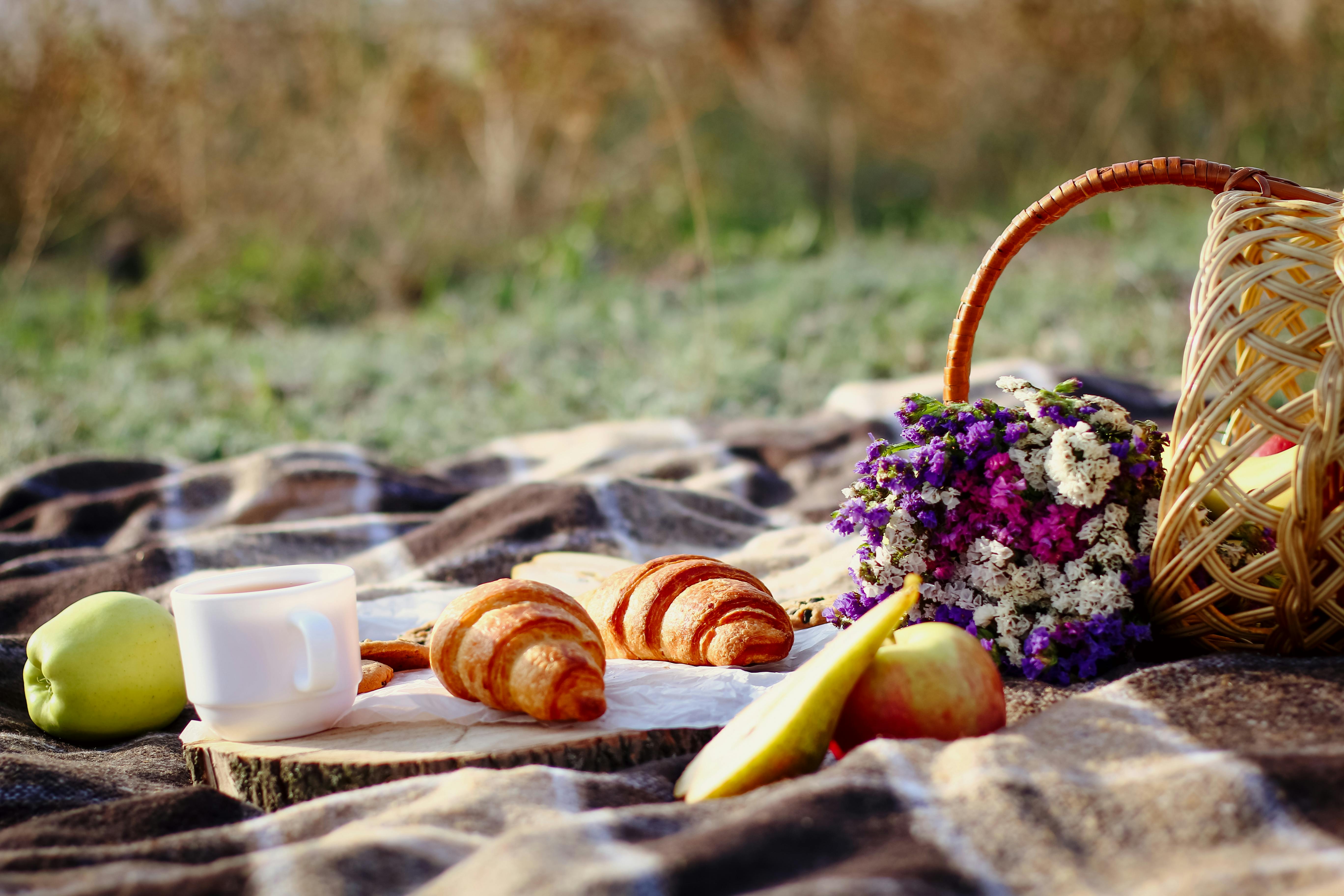 White Picnic Blanket On Grass · Free Stock Photo