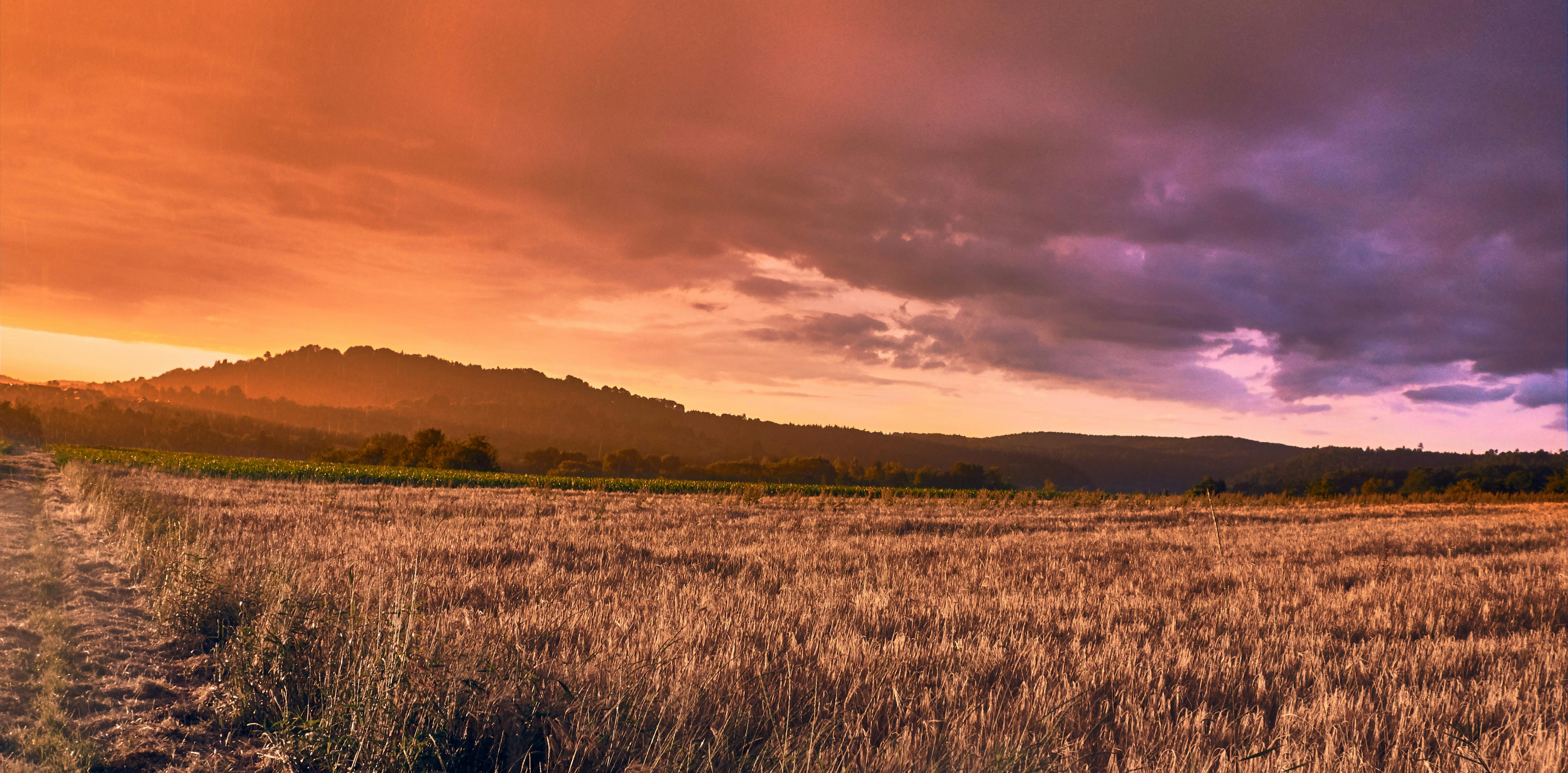 sunrise on green grass field free stock photo iphone photography light