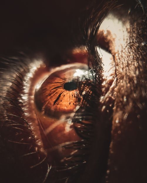 Free Detailed close-up of a human eye highlighting the intricate patterns of the iris. Stock Photo