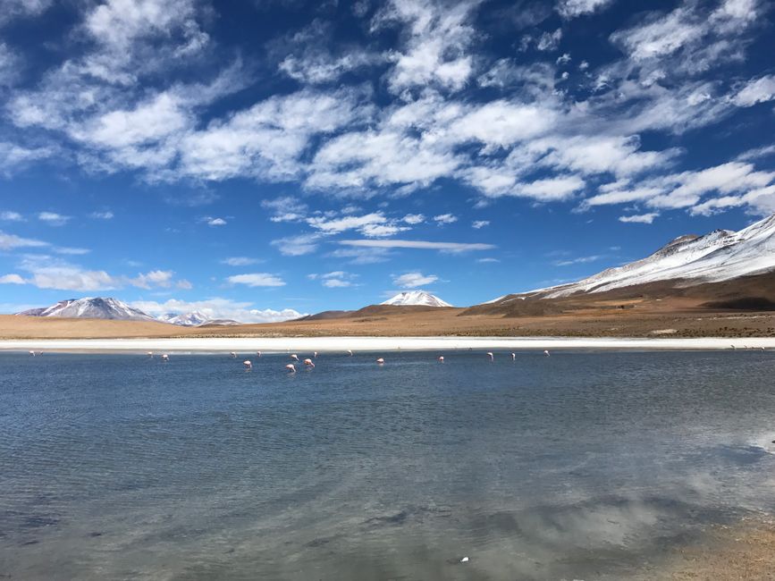 Foto de Laguna Colorada.