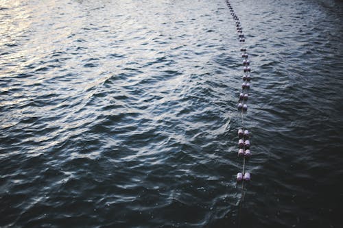 Buoys floating on top of the water