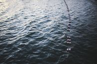 Buoys floating on top of the water