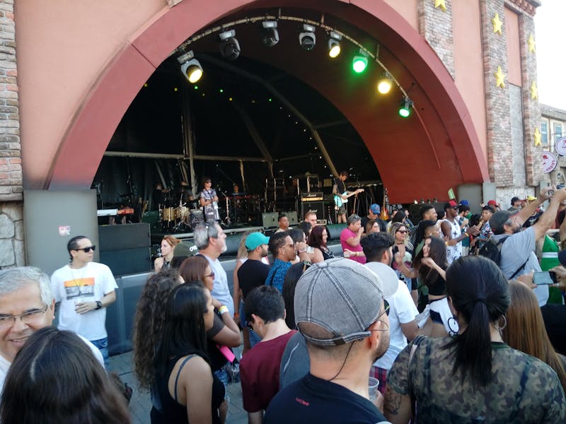 Modern kitchen essentials