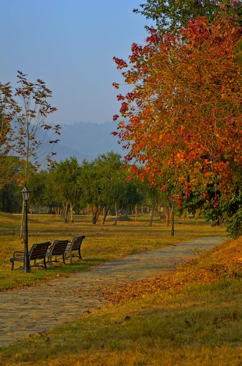 Free Beautiful autumn scene in Islamabad with benches and vibrant foliage. Stock Photo