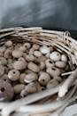 White Sea Urchin Shells in Wicker Basket
