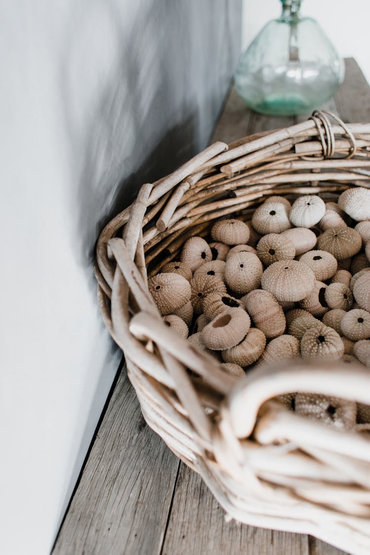 A Basket Of Sea Urchin Shells On A Wooden Table