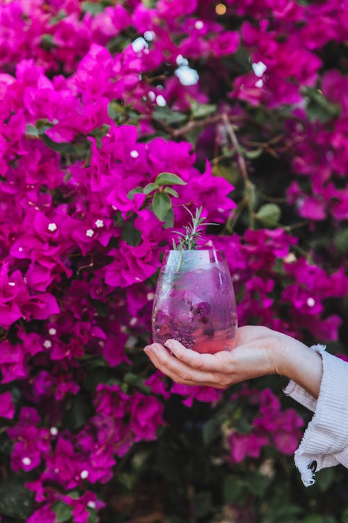 Free A Person Holding a Glass with Flower Stock Photo