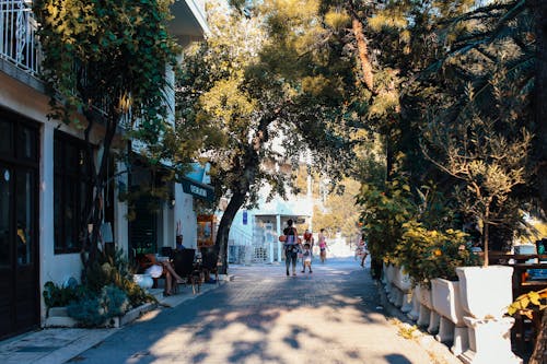 People Walking on Pavement