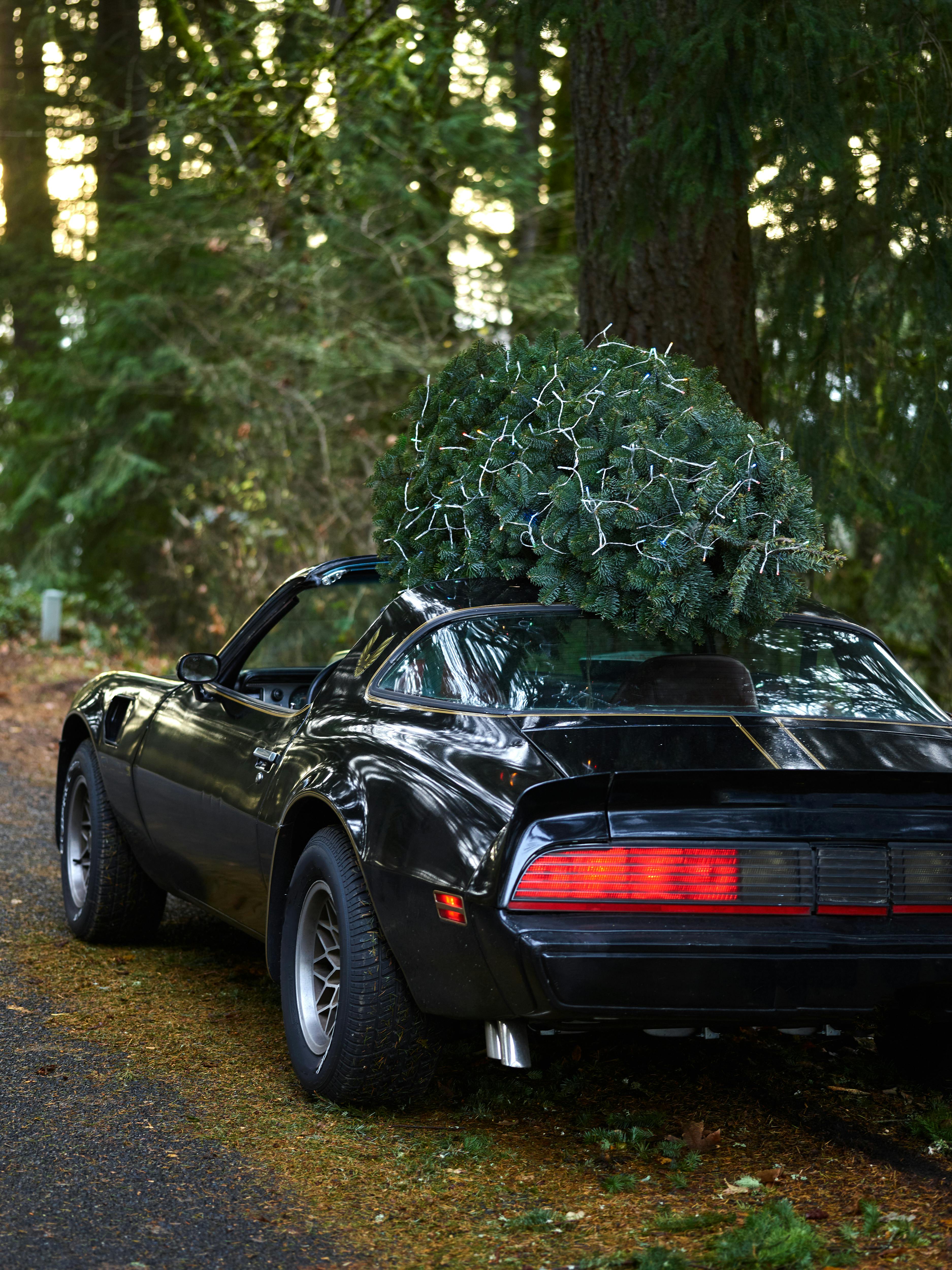 Christmas Tree on Top of a Black Car · Free Stock Photo