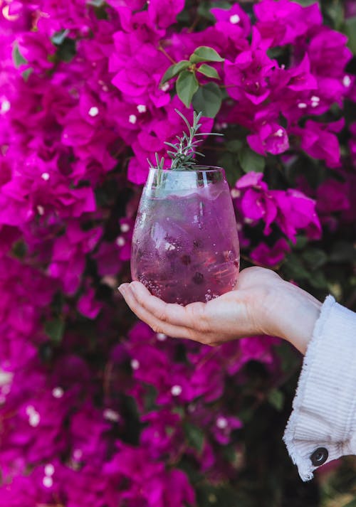 Gratis stockfoto met bloemen, detailopname, drinkglas