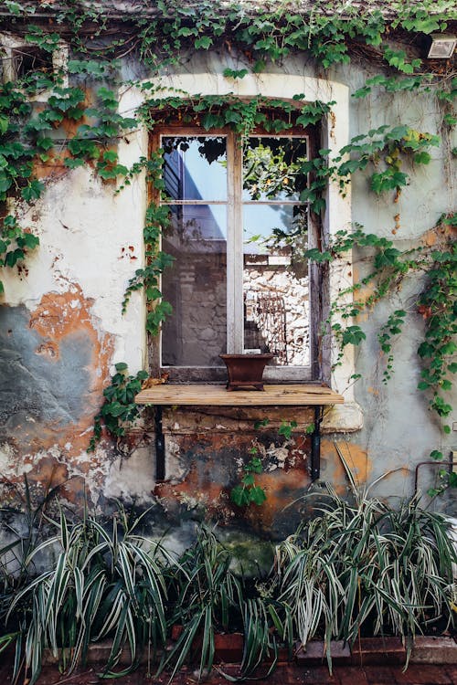 Window of an Old Abandoned House