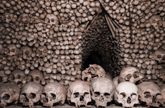 Grayscale Photo of Skull Decors