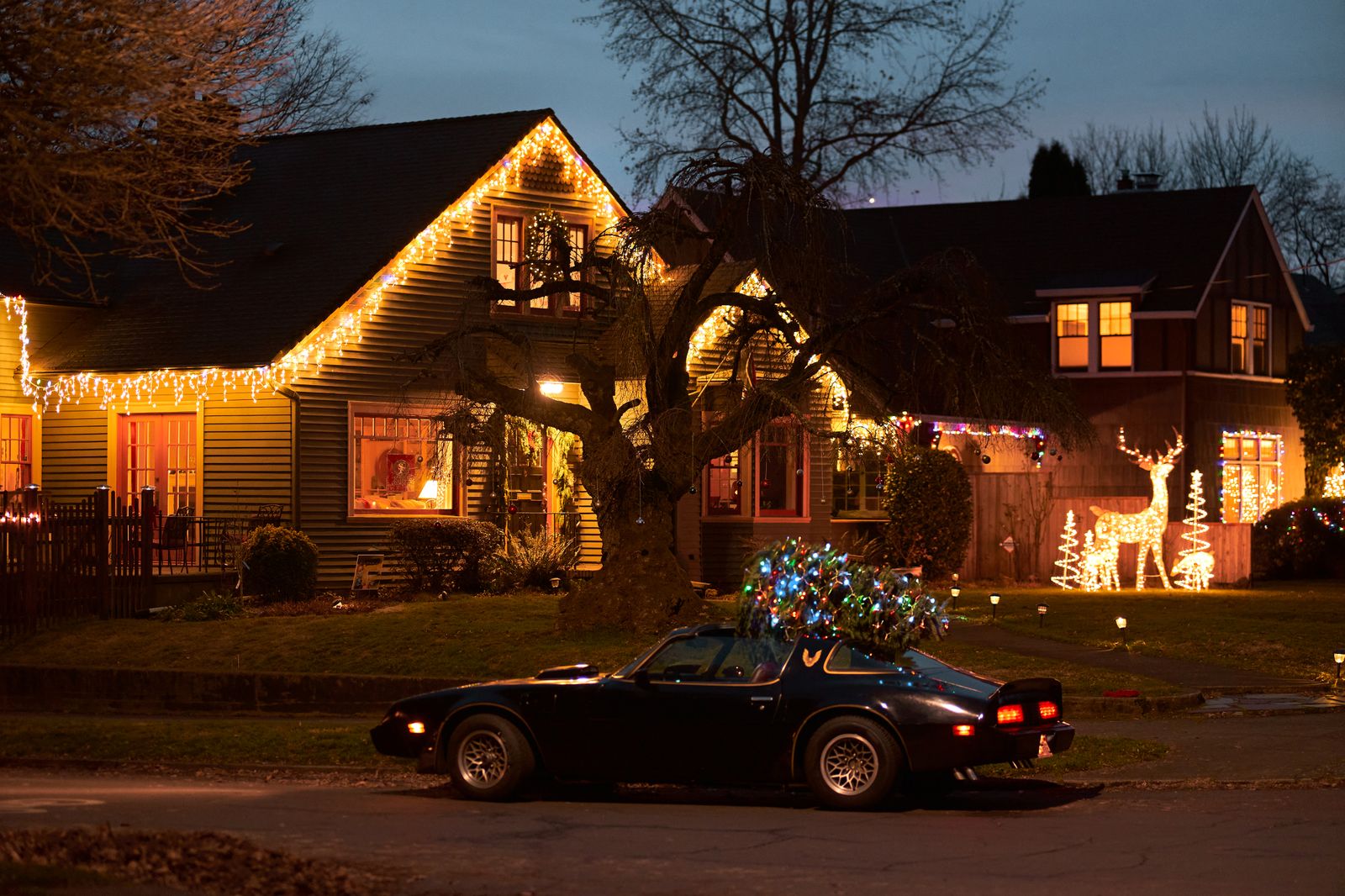 A street of houses decorated with Christmas lights at night, with a classic car parked out front.