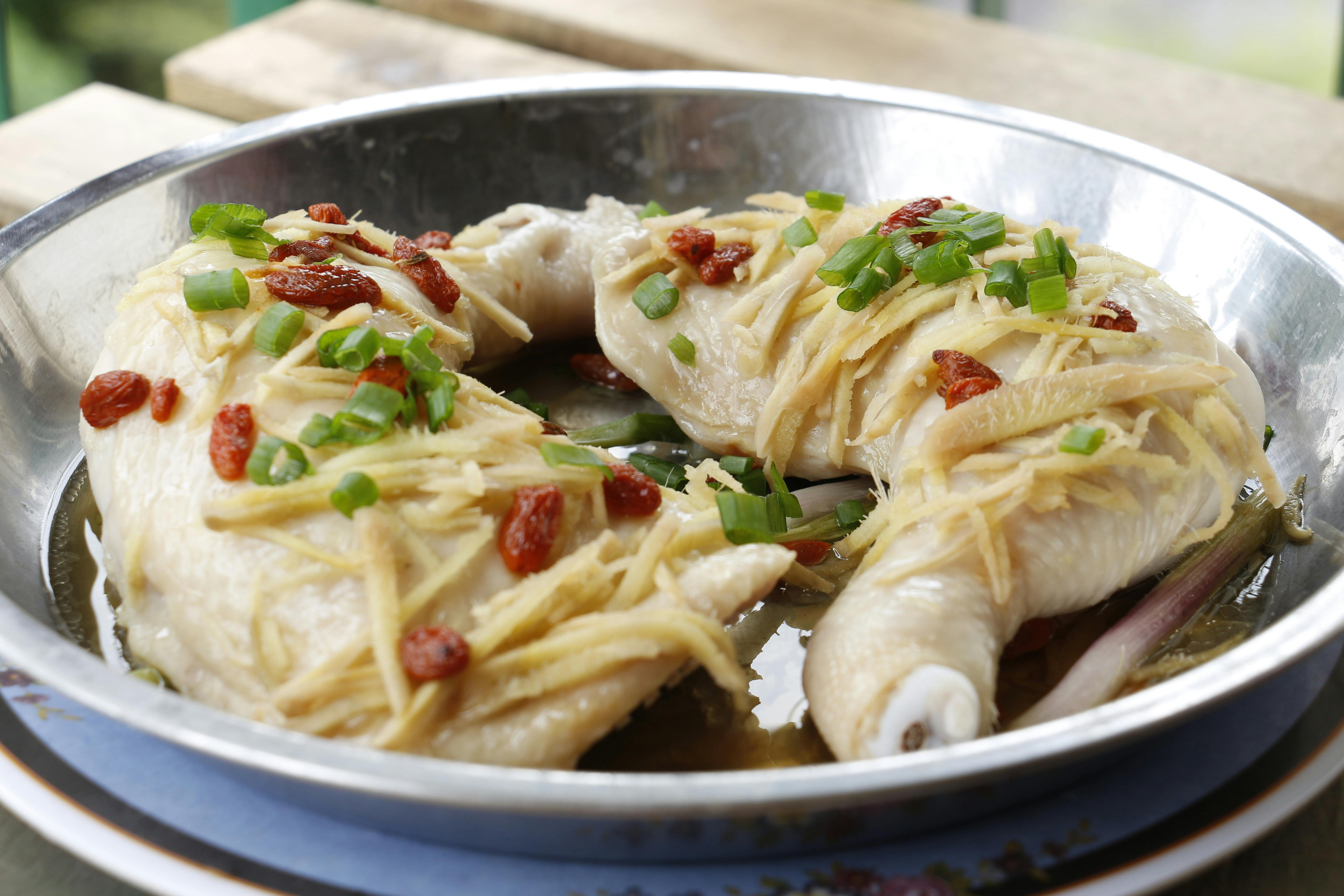 Delicious Malaysian steamed chicken with ginger and goji berries, garnished with scallions.