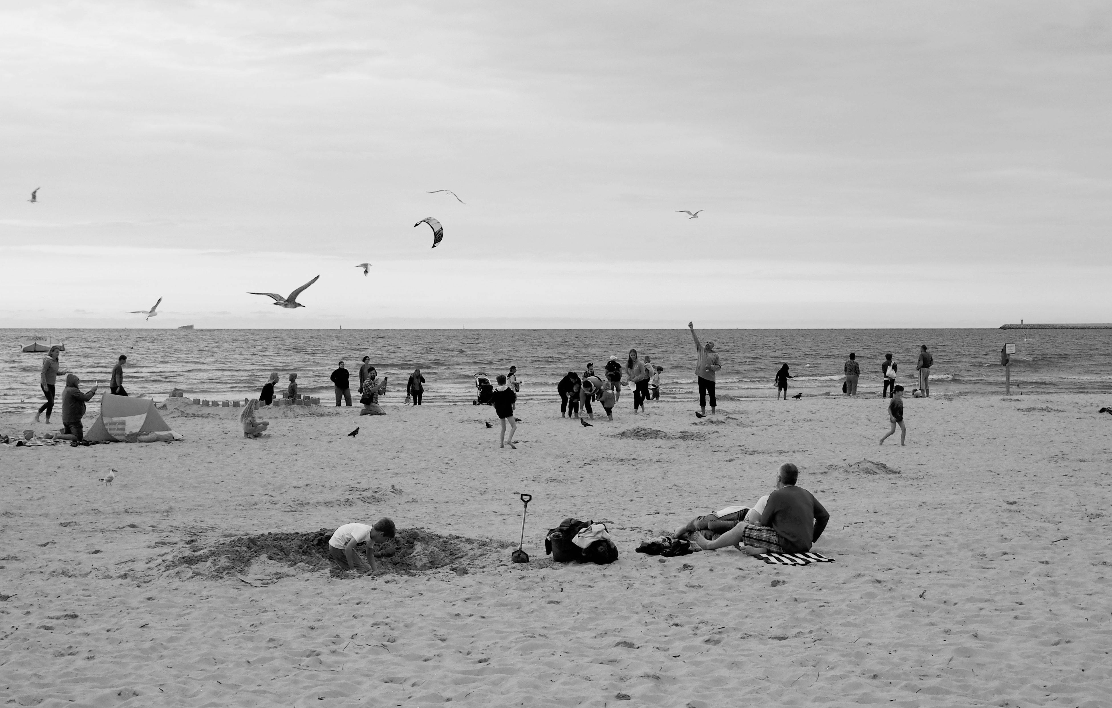 Monochrome Photo of Desert · Free Stock Photo