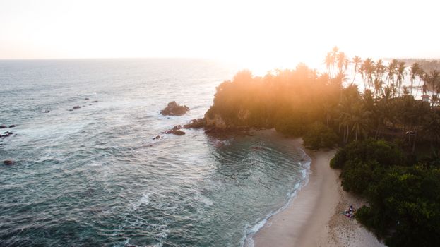 Serene aerial shot of a tropical beach with palm trees and sun glare reflecting on the sea.