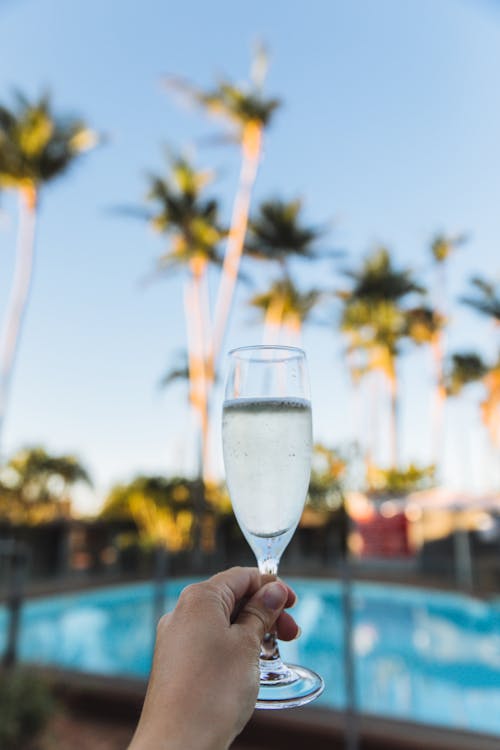 A Person Holding a Glass of Champagne